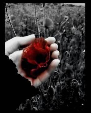 Sonnet